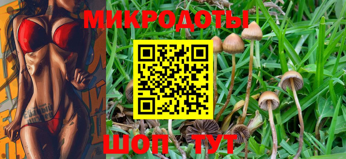 Галлюциногенные грибы Psilocybe  Вход с VPN  Сунжа 